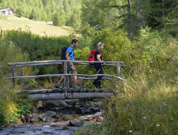 trekking valsugana escursioni levico montagna trentino 2